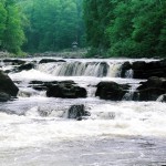 sungai