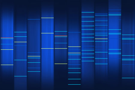Zairul.com's DNA